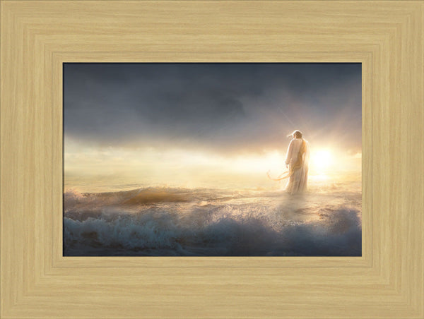 Above All by Kelsy and Jesse Lightweave