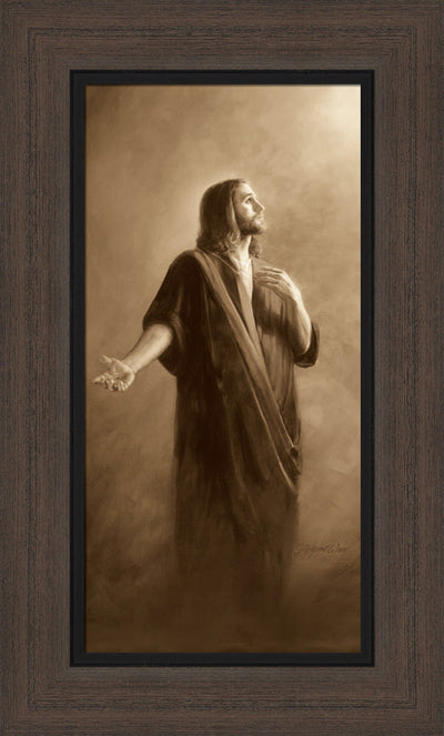 Our Advocate by Jay Bryant Ward