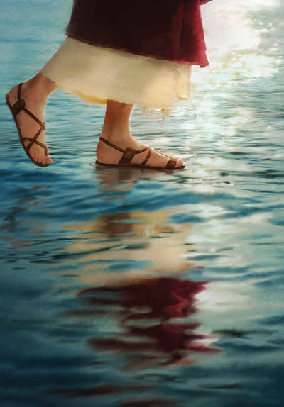 Where Jesus Walked by Jay Bryant Ward