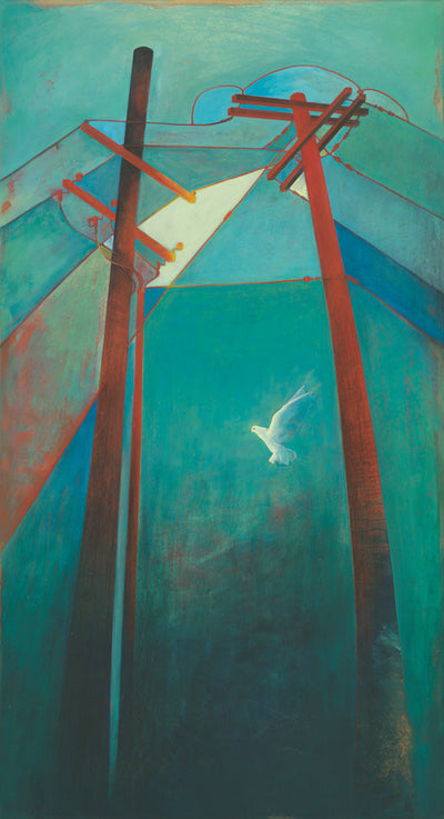 White dove flying between two telephone poles.