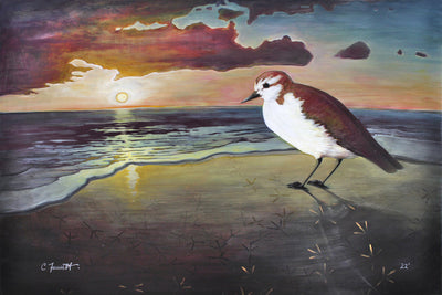 Small bird leaving footprints on the shore representing a change of heart.