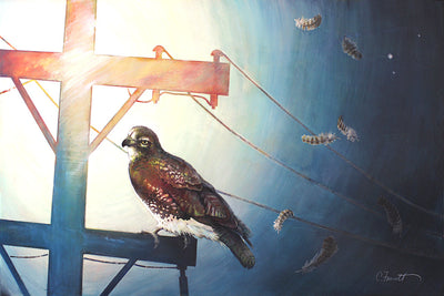 Bird looking at a cross like powerline representing humility.