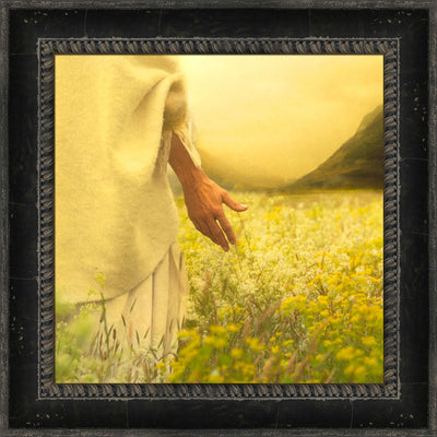 Consider the Lilies by Eva Koleva Timothy