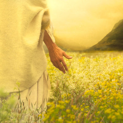 Jesus walking through a field of lilies.