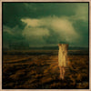 Head in the Clouds by Eva Koleva Timothy