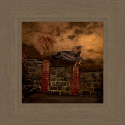 Flight by Eva Koleva Timothy