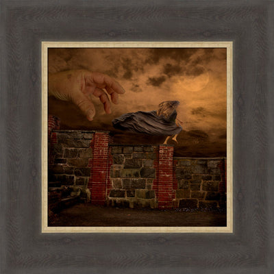 Flight by Eva Koleva Timothy