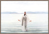 Resurrected Lord by Haley Miller