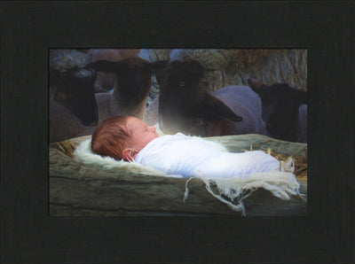 The Only Begotten by Haley Miller