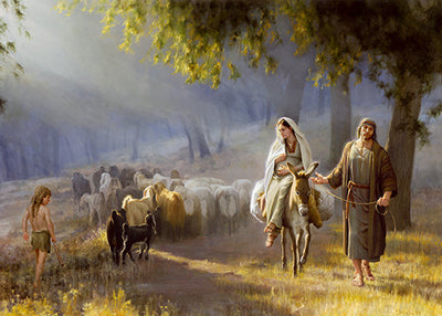 Joseph leading pregnant Mary on a donkey passing a heard of sheep.