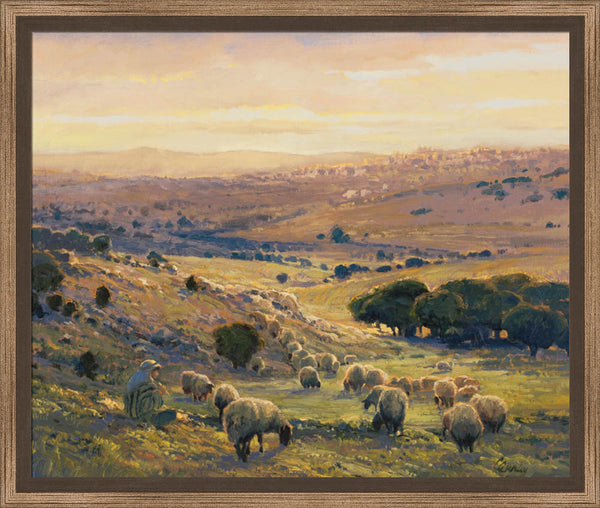Shepherd's Field by Linda Curley Christensen