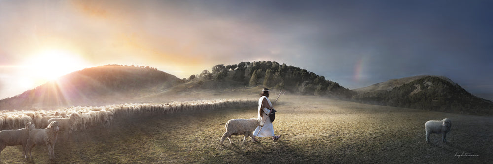 Parable of the Good Shepherd Kelsy and Jesse Lightweave Seek Them Out ...