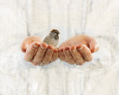 Sparrow in the hands of Jesus.