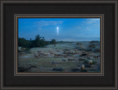 Shepherds Fieldsby Robert A Boyd