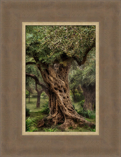 Gethsemane by Robert A Boyd