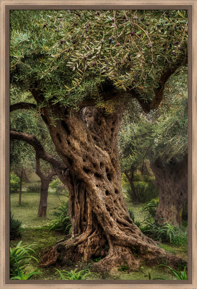 Gethsemane by Robert A Boyd