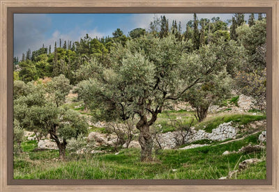 Mount of Olives by Robert A Boyd