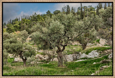 Mount of Olives by Robert A Boyd