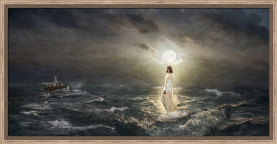 To the Rescue by Robert A Boyd