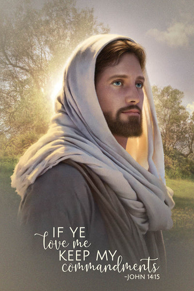 The Dawning of Brighter Day 12x18repositionable poster